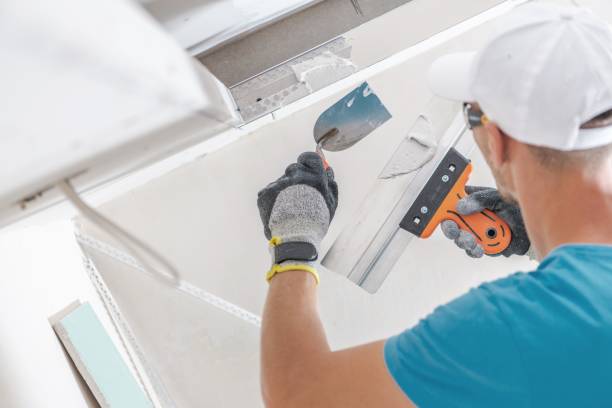 Reliable Lochbuie, CO Mold Removal Solutions